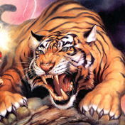 Дима Рыжков