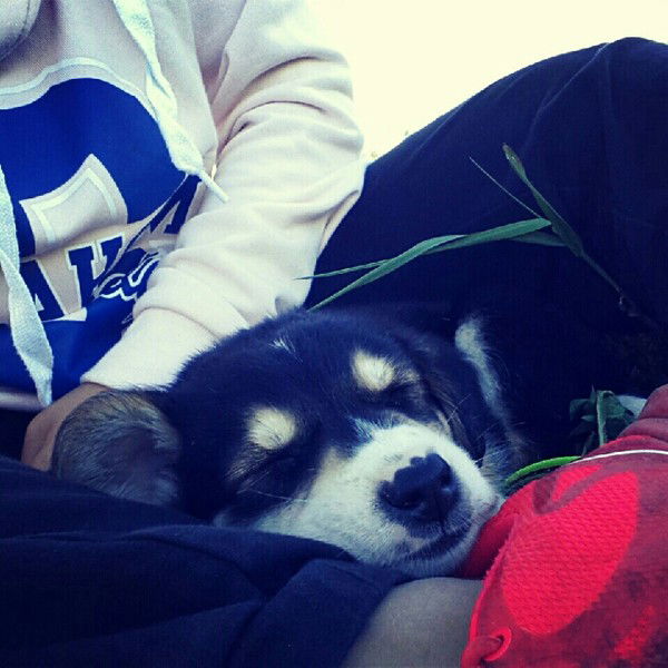 Александра Сергеевна