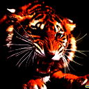 Алексей Беляков