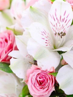 Салтанат Мамбеталиева