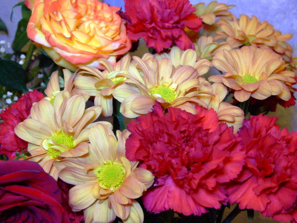 Олеся Громова