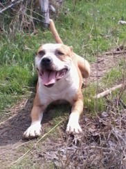 Галина Ефименко