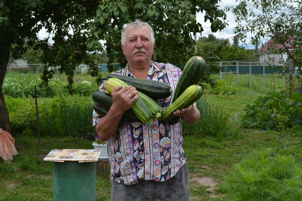 Степан Старый