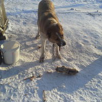 Катя Иглина