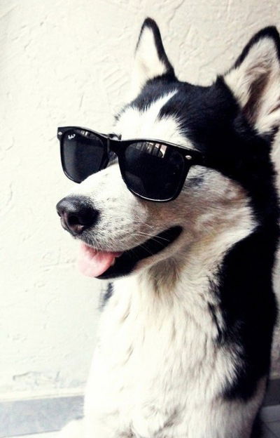 Алёна Александрова