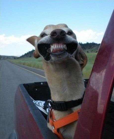 Сергей Убитый