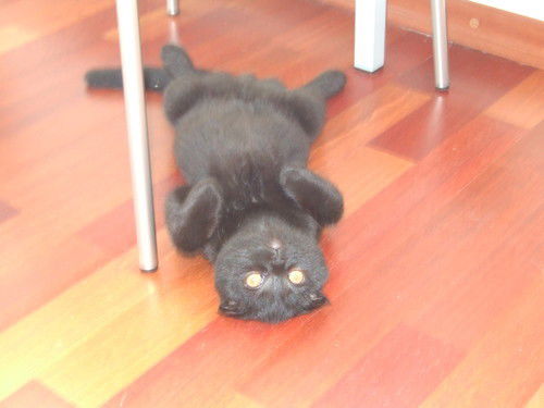 Наталья Мельникова