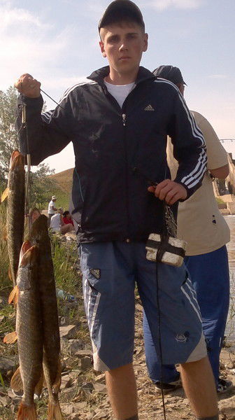 Максим Стецкий