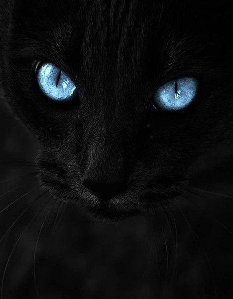 Гульфира Бусурманова