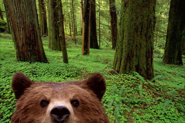 Кайрат Джидебаев