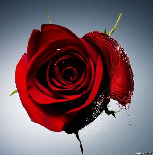 Айка Бабашева