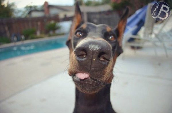 Юлия Мерная