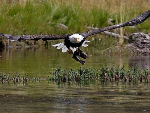 Ооо Монолит-Строй