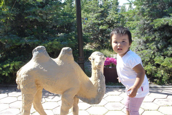 Алия Нусибалиева