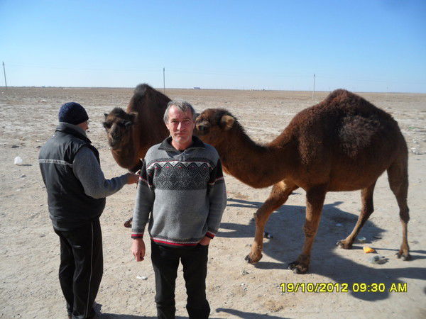 Виктор Голоскок