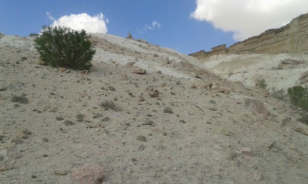 Руслан Сарбаев