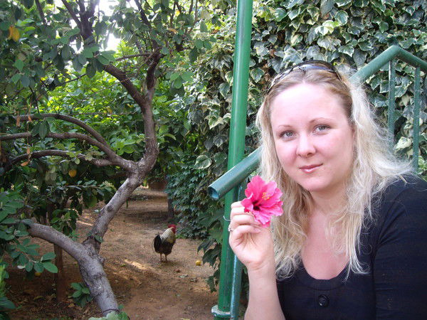 Елена Кабанова