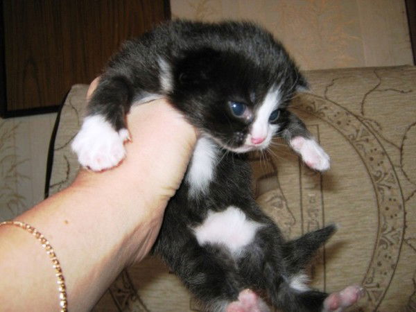 Наталия Старченко