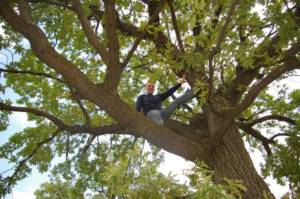 Константин Беспалов