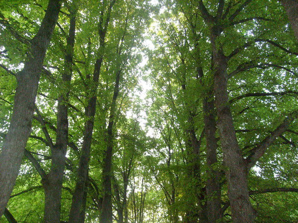 Наталья Ковальчук(Сиделёва)