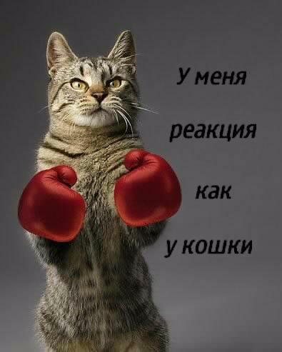 Максат Жиенбаев