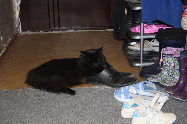 Елизавета Макарова