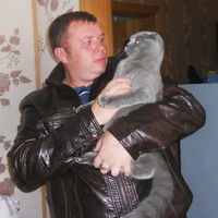 Юрий Стрелецкий