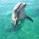 Пётр Яшичев