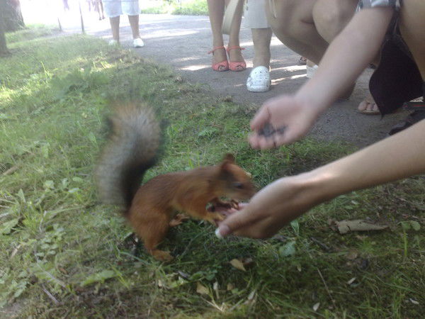 Лиля Пирогова