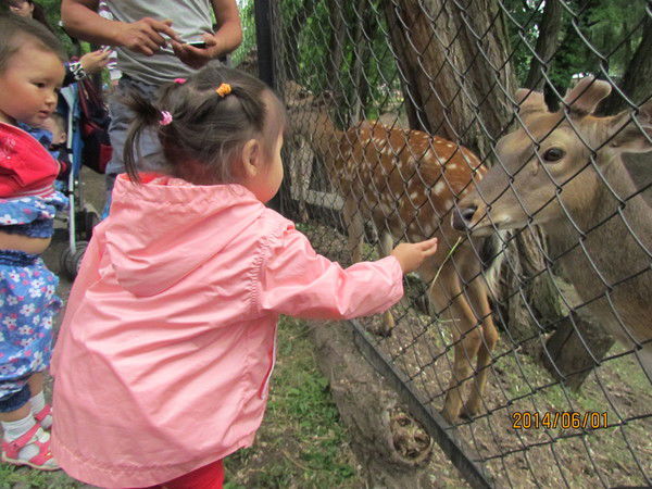 Махаббат Кишкенебаева