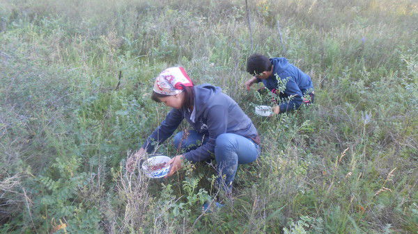 Лена Соловьева