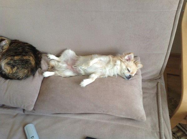 Василий Моисеев