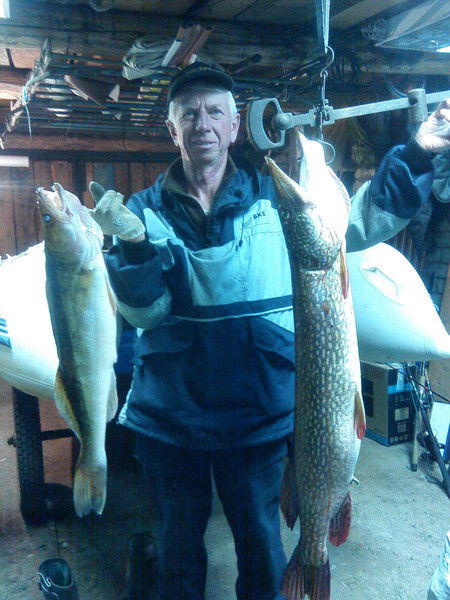 Сергей Щипунов