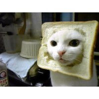 Вадим Иванов