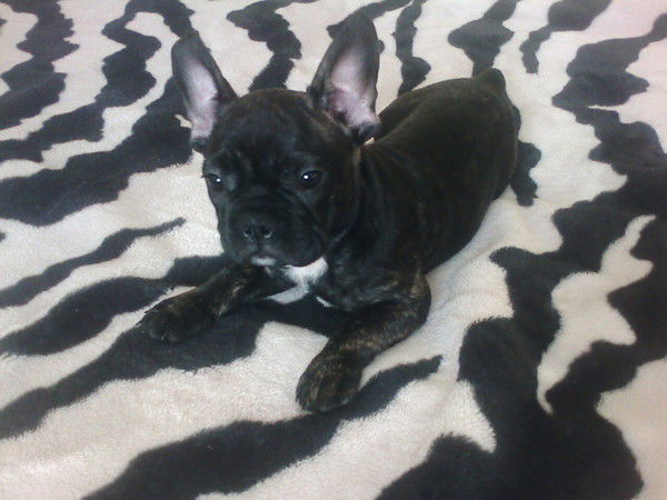 Айнур Мадиева