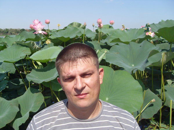 Илья Николаевич