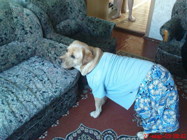 Владимир Фриде