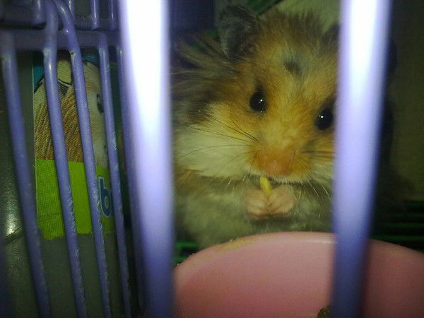 Сергей Мммм