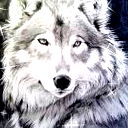 14Wolf Mix88