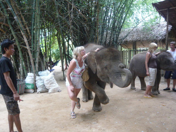 Наталья Тонких