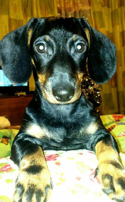 Надежда Ершова