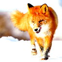 Сергей Белобородов