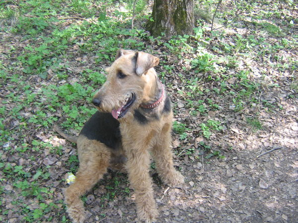 Василий Парадоксов