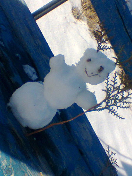 ***курманов*** ***айкын***