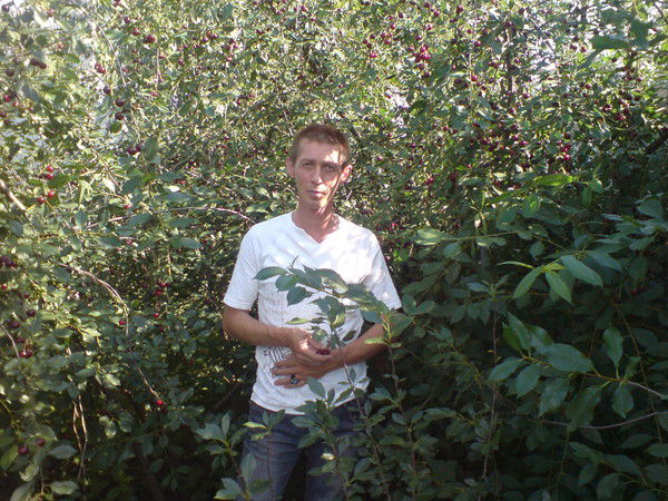 Евгений Панков