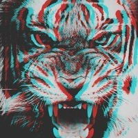 Денис Козичев