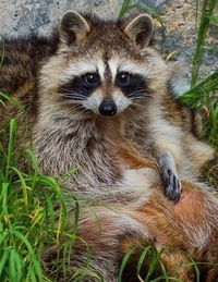 Карина Пластинкина