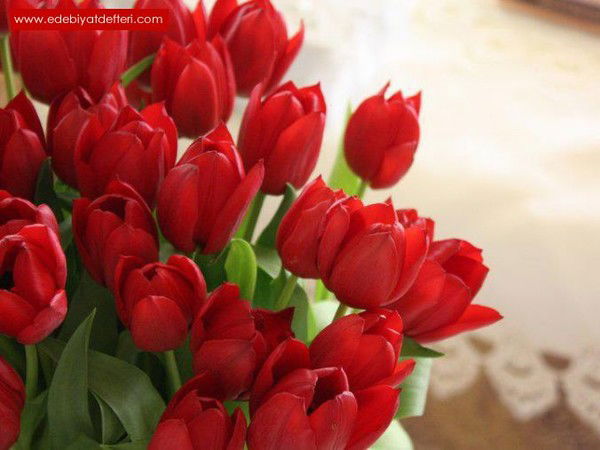 Асия Тржанова