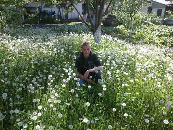 Виктор Беербах