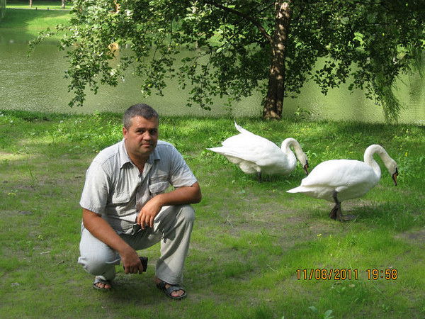 Владимир Гулай